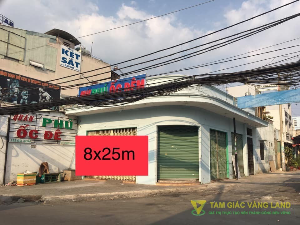 Cho thuê nhà 2 mặt tiền đường Gò Xoài, Phường Bình Hưng Hòa, Quận Bình Tân, DT 8x25m, Nhà cấp 4, Giá 30 triệu/tháng